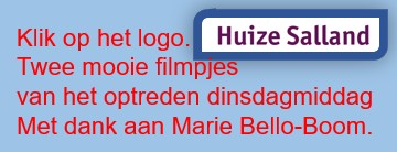 Logo Salland filmpjes